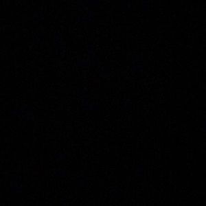 Meet your Posher, Shania